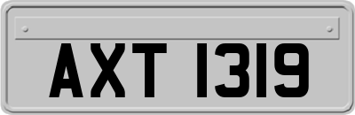 AXT1319