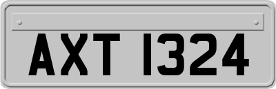 AXT1324