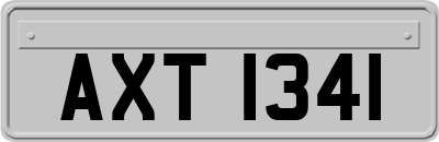 AXT1341