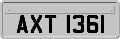 AXT1361