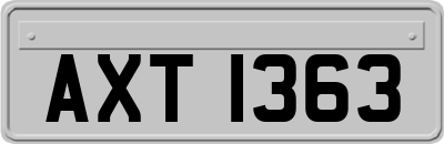 AXT1363