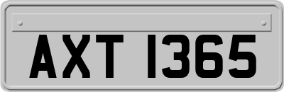 AXT1365