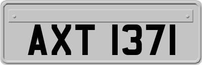 AXT1371