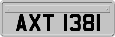AXT1381