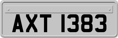 AXT1383