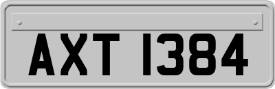 AXT1384