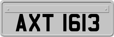 AXT1613