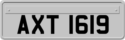 AXT1619