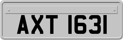 AXT1631