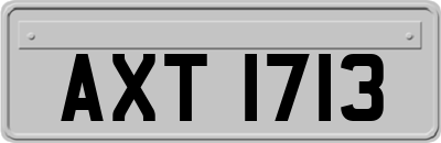 AXT1713