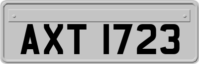 AXT1723