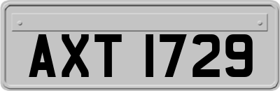 AXT1729