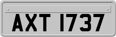 AXT1737