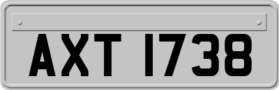 AXT1738