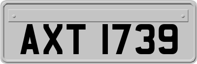 AXT1739