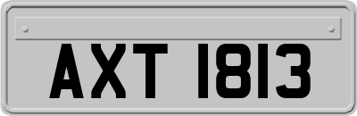 AXT1813