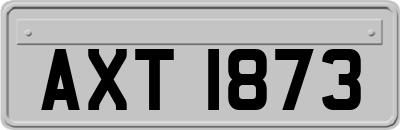 AXT1873