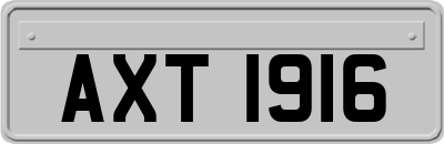 AXT1916