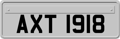 AXT1918