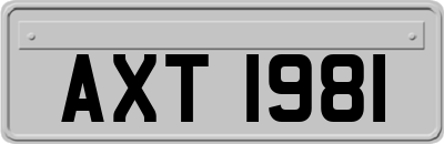 AXT1981