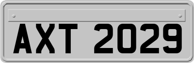 AXT2029