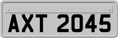 AXT2045