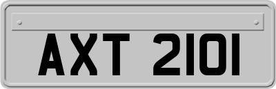 AXT2101