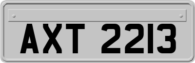AXT2213
