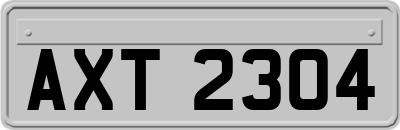 AXT2304