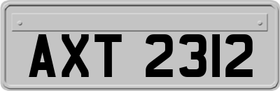 AXT2312