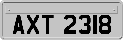 AXT2318