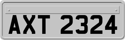 AXT2324