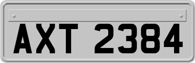 AXT2384