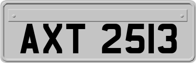 AXT2513