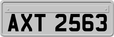 AXT2563