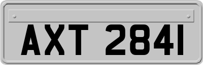 AXT2841