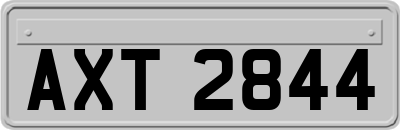 AXT2844