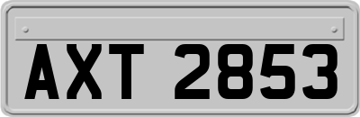 AXT2853