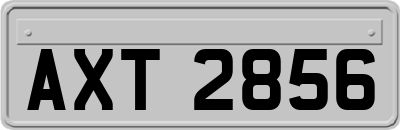 AXT2856