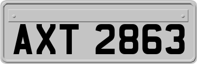 AXT2863