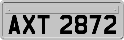 AXT2872