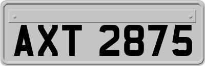 AXT2875