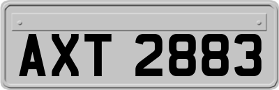 AXT2883