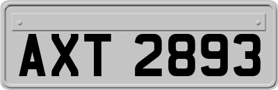 AXT2893
