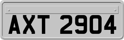 AXT2904