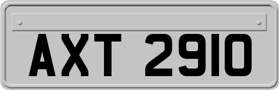 AXT2910
