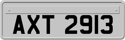 AXT2913