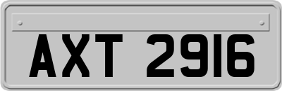 AXT2916