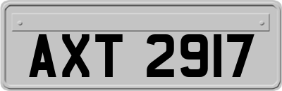 AXT2917