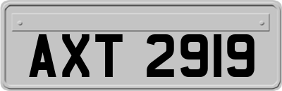 AXT2919